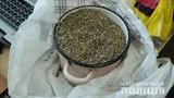 Полиция изъяла у мужчины около 2-х килограммов каннабиса на Луганщине. ФОТО