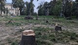 дерева,кпі