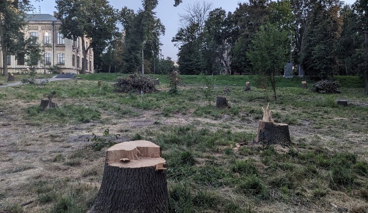 У парку КПІ в Києві в рамках оновлення зрізали частину дерев. Соцмережі обурені. ВІДЕО+ФОТОрепортаж
