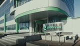 дарница