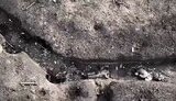 зсу