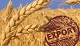 Україна вичерпала квоту на безмитні поставки пшениці до Євросоюзу