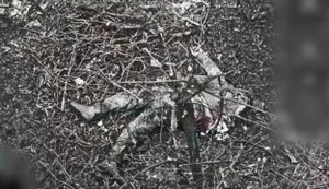 Розкидані десятки мертвих російських штурмовиків у Часовому Яру: бойова робота бійців 24-ї ОМБр. ВIДЕО