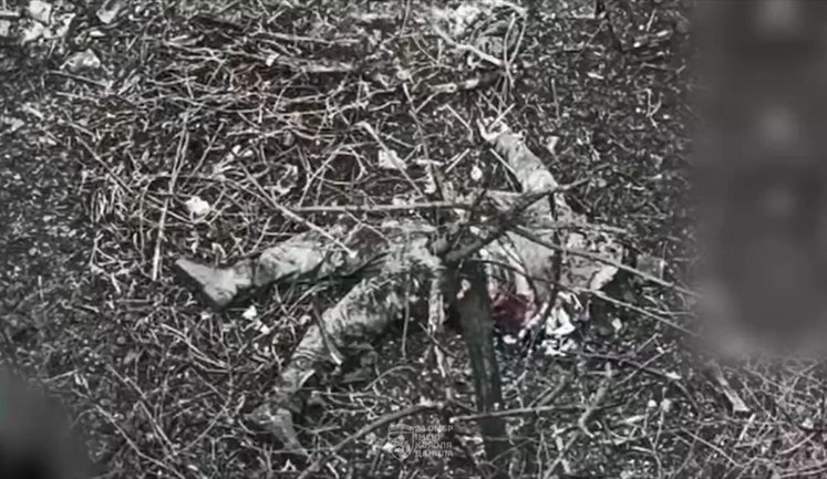 Розкидані десятки мертвих російських штурмовиків у Часовому Яру: бойова робота бійців 24-ї ОМБр. ВIДЕО