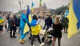 вибори