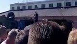 Рабочие МЗКТ встретили Лукашенко скандированием "Уходи!": "Отвечаю вам на этот вопрос - можете еще покричать". ВИДЕО