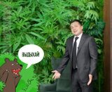 Джунгли зовут