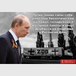 Биомусор
