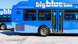 bluebus