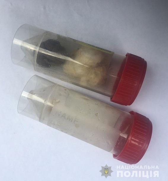 Поліцейські повідомили про підозру трьом правоохоронцям, а також затримали чотирьох чоловіків, причетних до діяльності нікопольського ОЗУ Біле братство 10