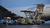 НАТО створило повітряний міст для постачання зброї до України, – The Wall Street Journal