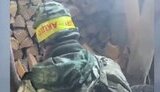 полонений