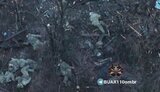 окупанти200