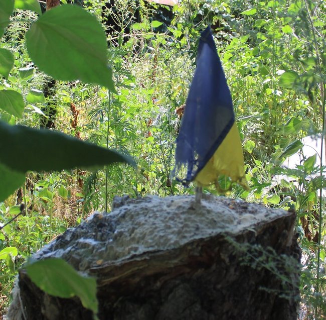 Командувач ООС Сирський перевірив бойові позиції в районі н.п. Піски, - штаб 10