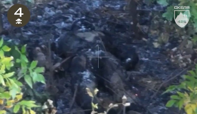 Бійці полку "Скеля" ліквідували десяток окупантів в лісопосадках, бліндажах, окопах. ВIДЕО 18+