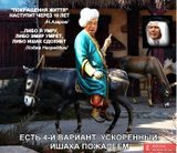 Ишак-тот,что снизу. Не перепутайте!