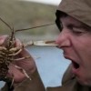 Порфирий Чугуев