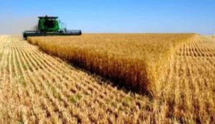 Украина не останется без хлеба. Мы кормим 140 миллионов людей на планете, - Павленко ожидает хорошего урожая. ВИДЕО
