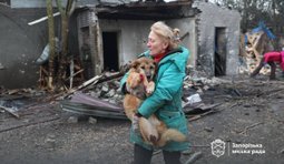 Российский обстрел Запорожья повредил собачий приют