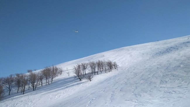 Заблукалу напередодні туристку знайшли на Закарпатті, - рятувальники 05