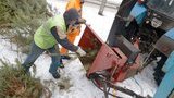 Новорічні ялинки у Дніпрі переробляють на брикети для опалення