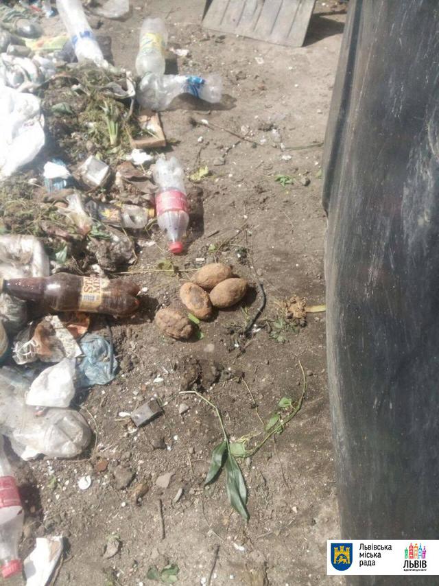 У львівському смітті знайшли 5 гранат 01