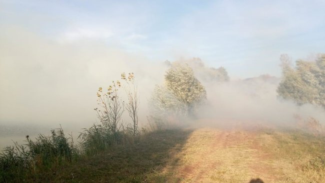 Дві пожежі, які перекинулися з РФ, загасили на Харківщині, - ДПСУ 01