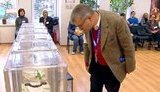 OSCE: Rada election takes place in peaceful way