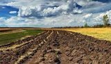 В "тени" находятся 8 млн га украинских земель, из-за чего бюджет недополучает миллиарды гривен, - адвокат Ганган