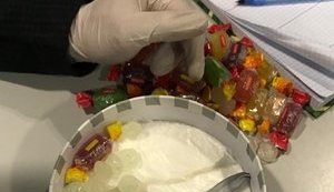 СБУ в "Борисполе" заблокировала контрабанду наркотиков в страны Евросоюза