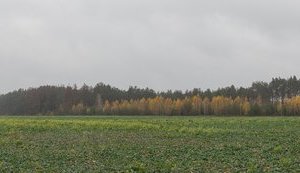 Компанія Бахматюка ремонтує дорогу у Львівській області