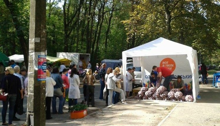 Депутат Киевсовета Александр Бродский "повышает" свой рейтинг раздачей картофеля. ФОТОрепортаж