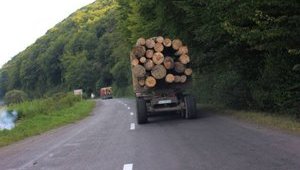 Евросоюз готов начать торговый арбитраж с Украиной по лесу-кругляку, – Климпуш-Цинцадзе