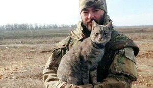косенко