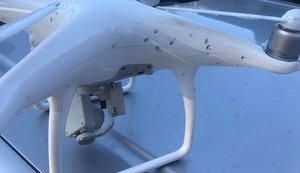 Alphabet запустит сервис по доставке товаров дронами в Европе