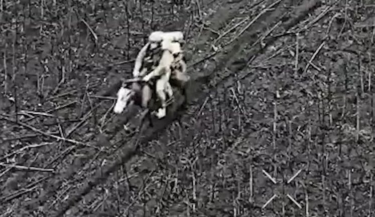 Двох російських штурмовиків-кіннотників атакували оператори дронів 92-ї бригади поблизу Покровська. ВIДЕО