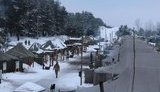 армия