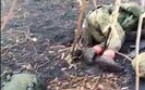 лісосмуга після зачистки від окупантів