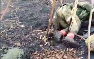 лісосмуга після зачистки від окупантів