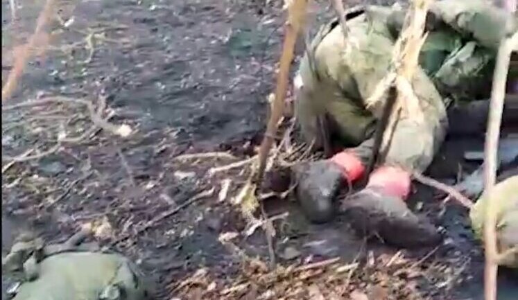 Soldiers are looking at six occupiers in forest belt: "Yesterday and day before yesterday, we f#cked them up. Helmet is f#ggish. ’Glory to Russia’ is written on it". VIDEO 18+