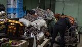 Europeans are advised to stockpile food for 72 hours