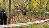 нацполіція,київщина