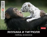 Янукака и Тигрюля
