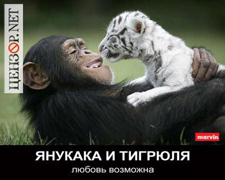 Янукака и Тигрюля