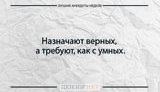 анекдот