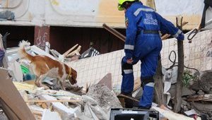 Рятувальники виявили ще одне тіло на місці вибуху в будинку Києва