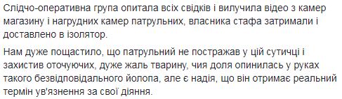 Киевский патрульный вынужденно застрелил бойцовского пса, который защищал агрессивного пьяного хозяина 02