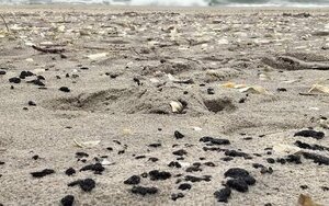 На узбережжі Одещини виявили нові ділянки забруднення мазутом