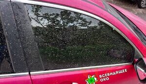 На Юге прошли "грязные" дожди: превышения предельно допустимых концентраций пыли нет. ФОТО