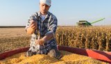 В Україні за рік зареєстрували 853 нові агрокомпанії: хто лідирує за виторгом. ІНФОГРАФІКА